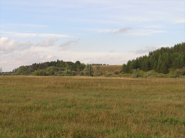 поле за лесом на правом берегу